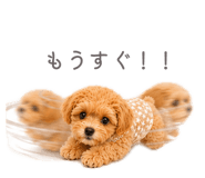 846156986