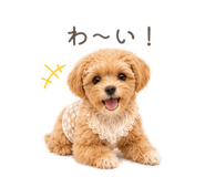 846157000