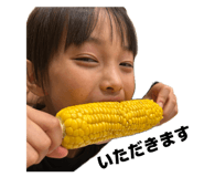 846157071