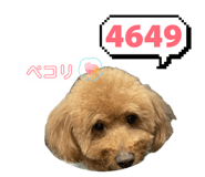 846157101