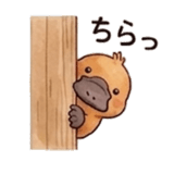 846157553