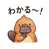846157556