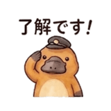 846157557
