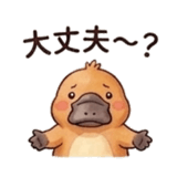 846157558