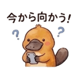 846157564
