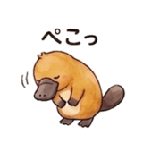 846157565