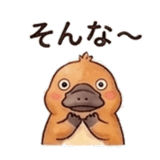 846157566