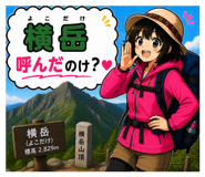 846158256