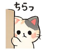 846167079