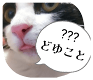 846167505