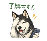 846167761