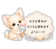 846168523