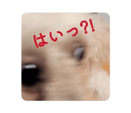 846168586