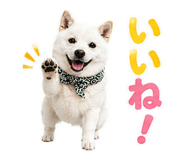 846169233