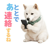 846169243