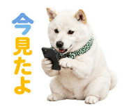 846169247