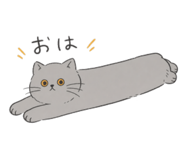 846169519