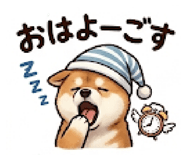 846169729