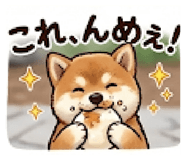 846169737