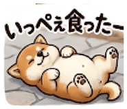 846169739