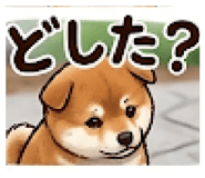 846169740