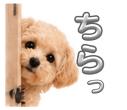 846169855