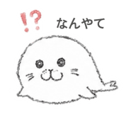 846170037