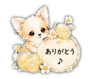 846173075