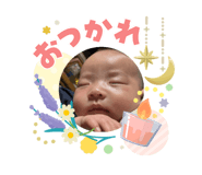 846173528