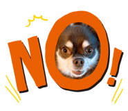 846173558