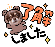 846173646