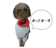 846173681