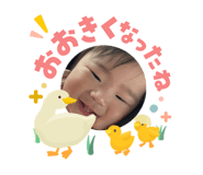 846173775