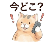 846187366