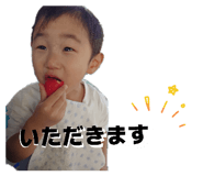 846188336