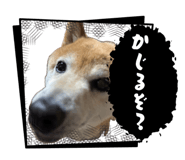 846188863