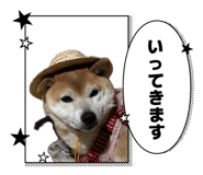846188864