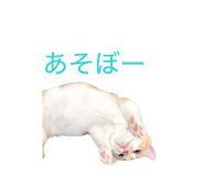 846188875