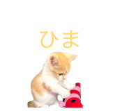 846188876