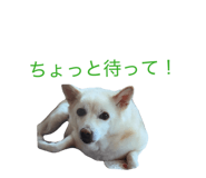846188879