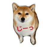 846188972