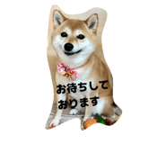 846188982