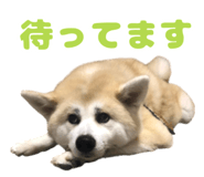 846190159