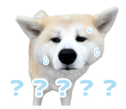 846190160