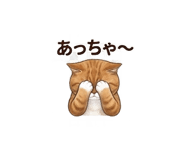 846190236