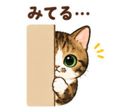 846190854