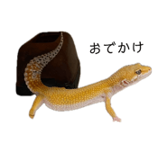 846191609