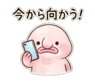 846191851