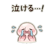 846191855