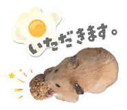 846191865